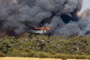 Crib Point Fire 2 015